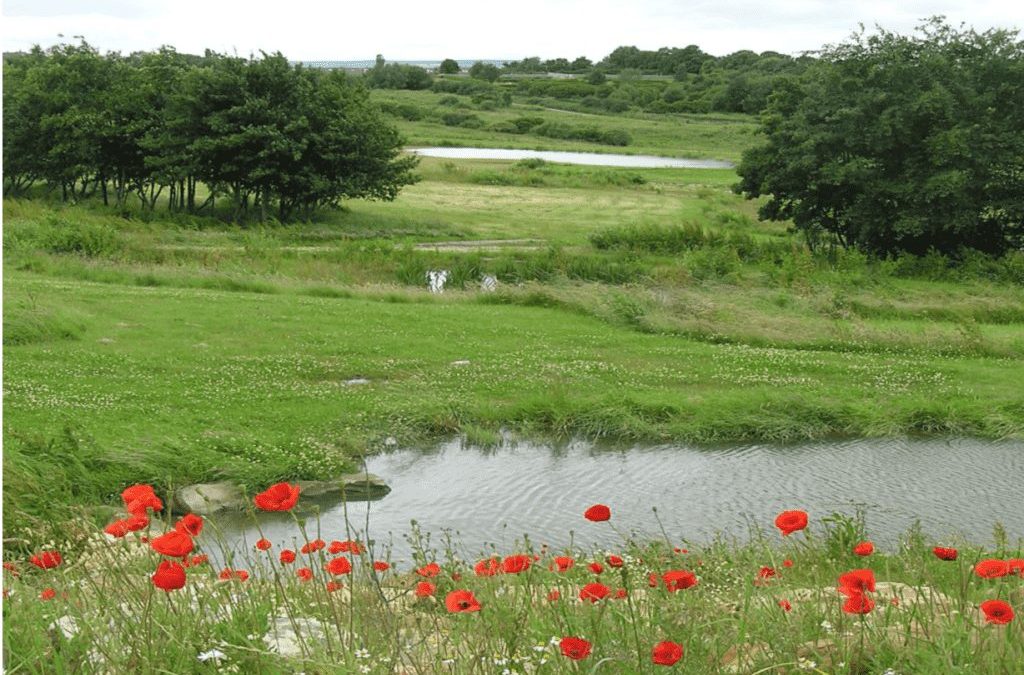 Wetland project would ease flood risk