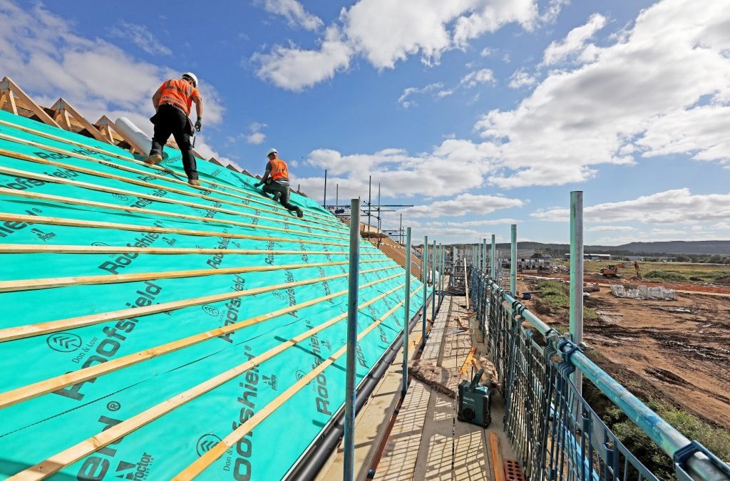 Meeting and beating the pandemic challenge