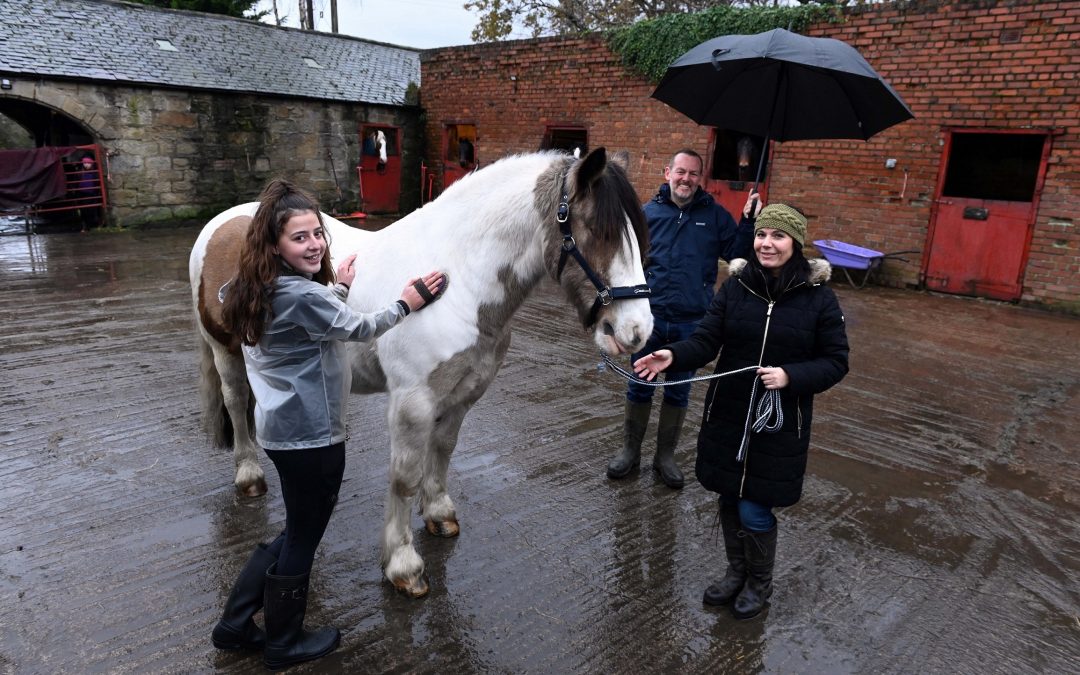 Come rain or shine, there is time for equine