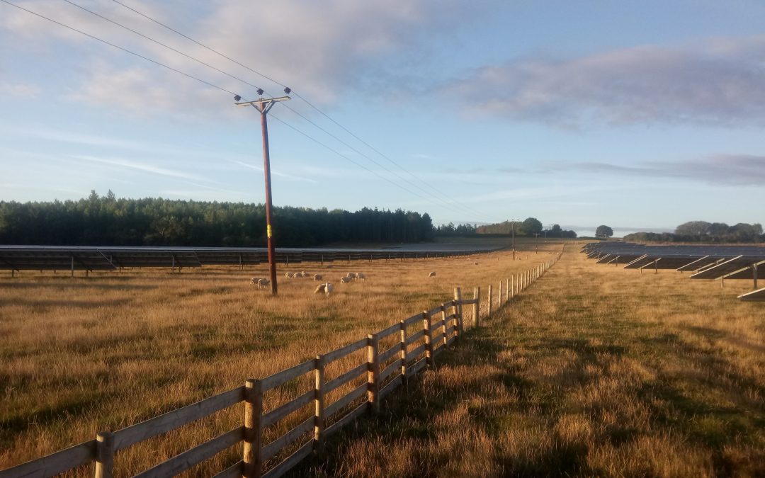 County Durham solar farm plan approved