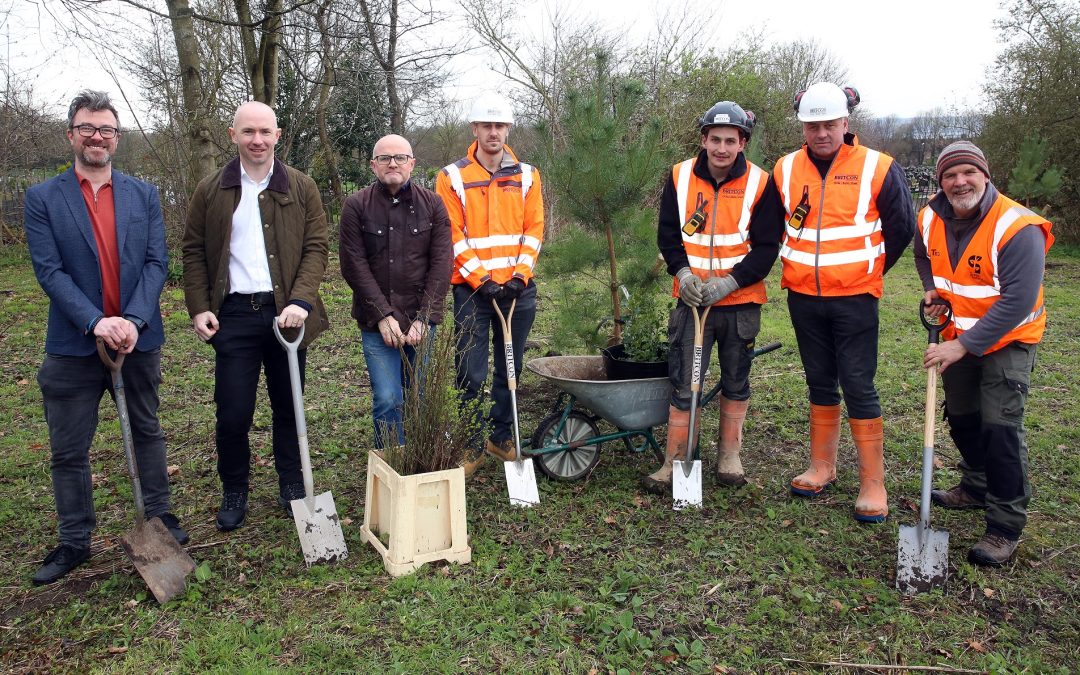 Planting in new Sheffield wetland habitat